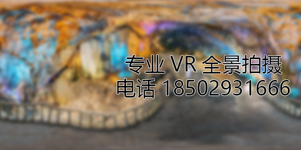 卢龙VR全景拍摄中，如何设置合理的互动热点和漫游线路？