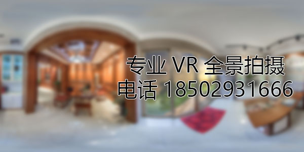 卢龙VR全景技术在未来可能的发展方向和应用领域?